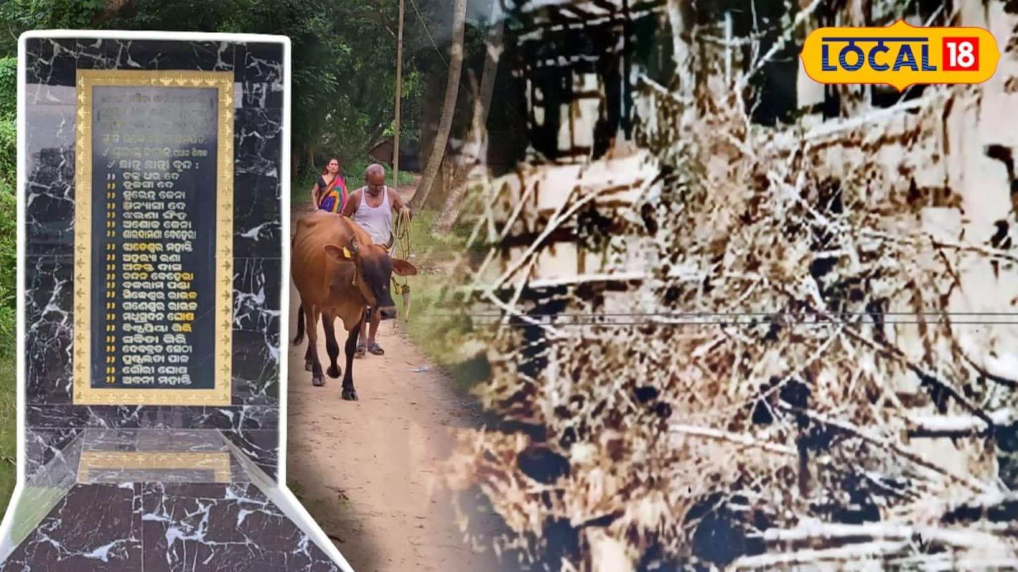 ২৮ বছর আগের অভিশপ্ত মার্চ! দুপুরের টর্নেডোর তাণ্ডবে দাঁতন-জলেশ্বরে নিভেছিল কত তাজা প্রাণ