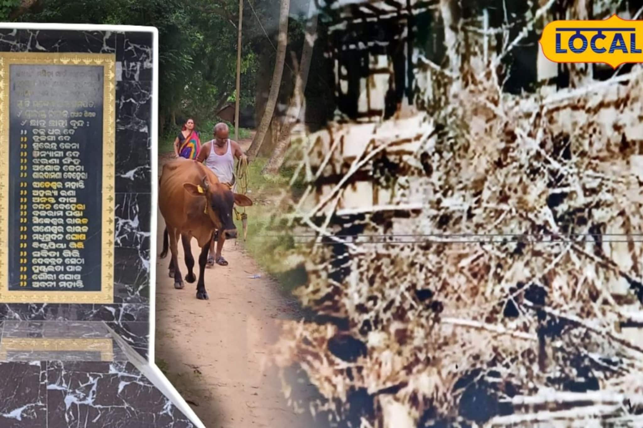 ২৮ বছর আগের অভিশপ্ত মার্চ! দুপুরের টর্নেডোর তাণ্ডবে দাঁতন-জলেশ্বরে নিভেছিল কত তাজা প্রাণ