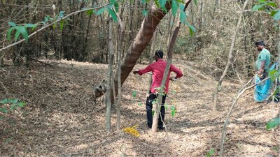 কুকুরের কামড়ে আহত হনুমান