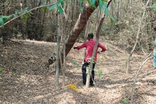 Dog Attack: কুকুরের আক্রমণের জেরে আহত হনুমান, স্থানীদের তৎপরতায় প্রাণরক্ষা প্রাণীটির