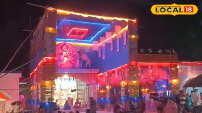 বাসন্তী পুজোয় নজরকাড়া থিমের মণ্ডপ 