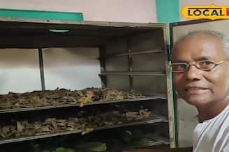 পান শুকিয়ে লাখ টাকা আয়ের নতুন ফর্মুলা, দেশি টেকনিকে মালামাল হওয়ার দারুণ সুযোগ