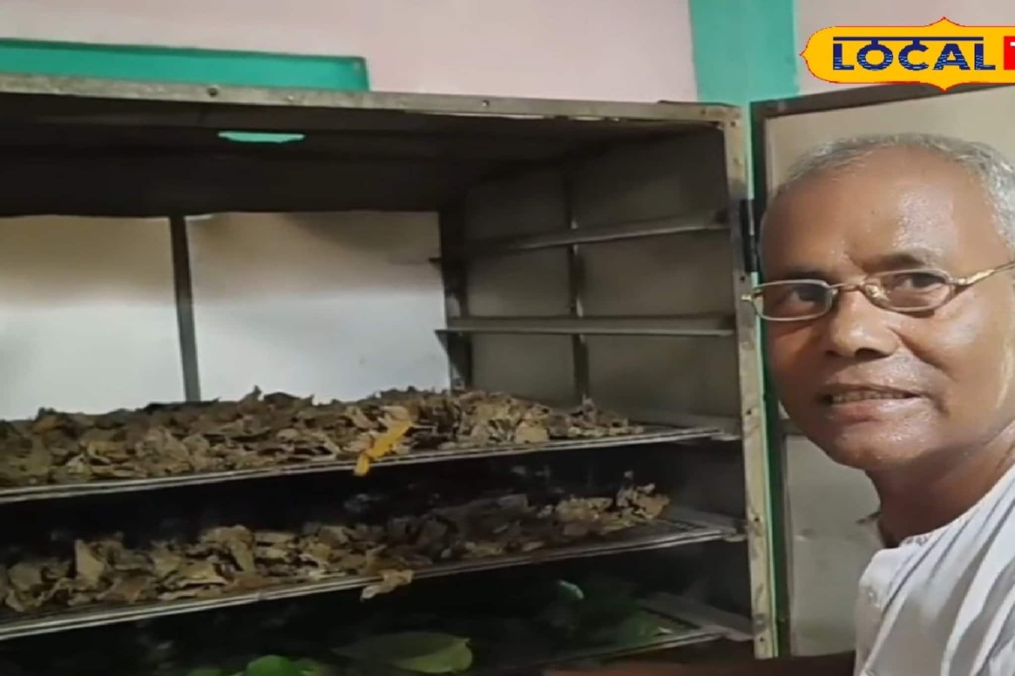 পান শুকিয়ে লাখ টাকা আয়ের নতুন ফর্মুলা, দেশি টেকনিকে মালামাল হওয়ার দারুণ সুযোগ