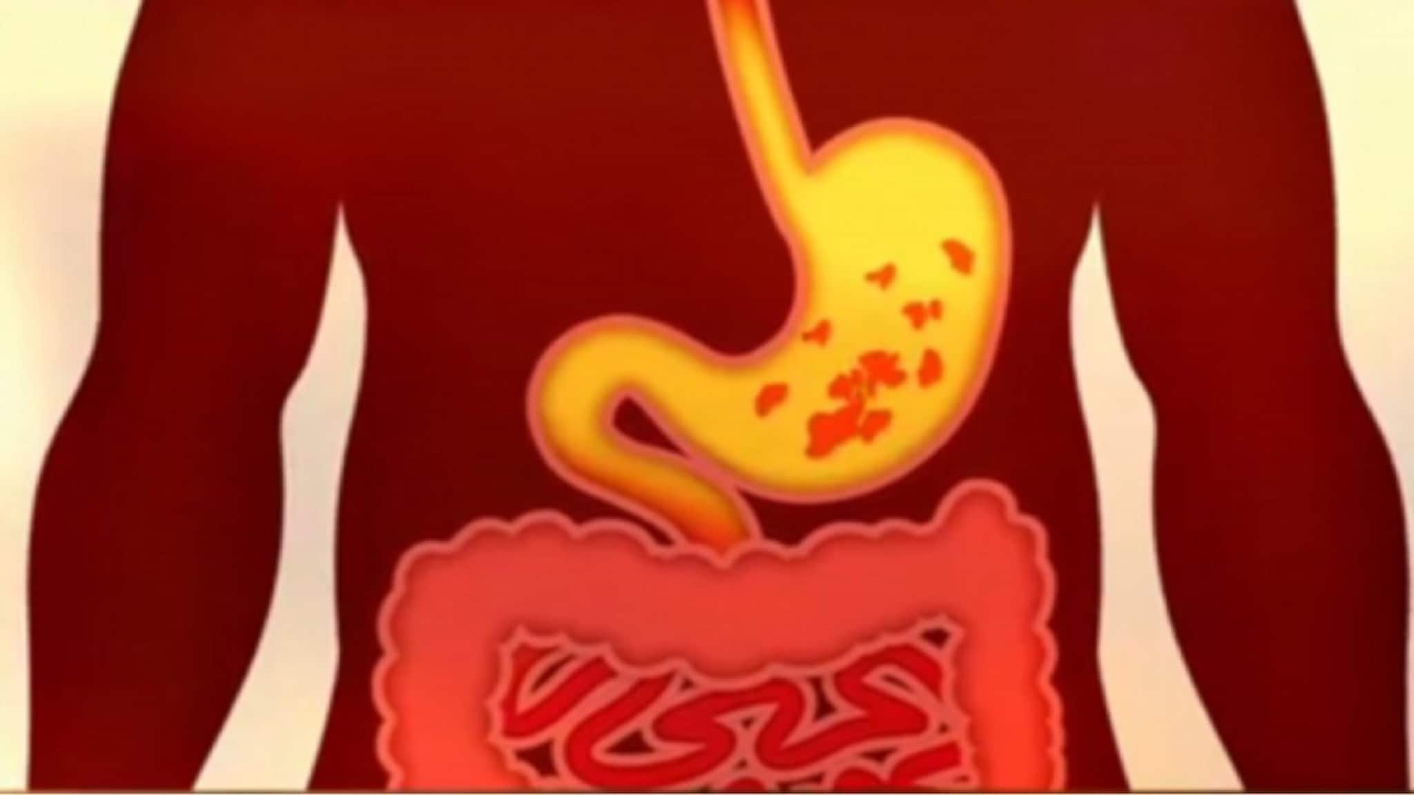 Effect Of Alchohol: মদ্যপানের মিনিট খানেকের মধ্যেই শরীরে যা যা শুরু হয়, চিকিৎসক যা বললেন, শুনলে চমকে উঠবেন