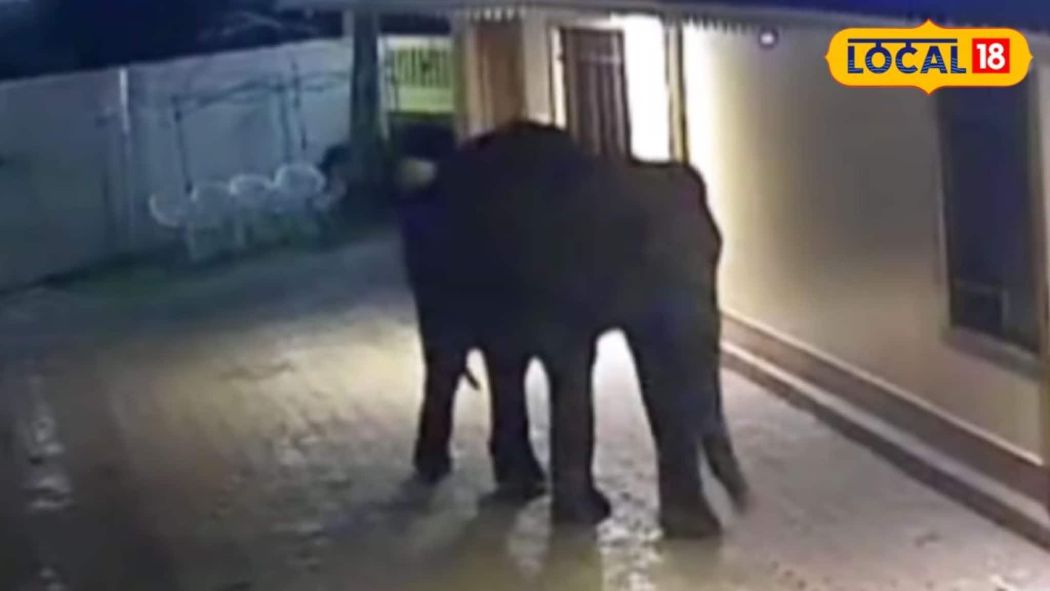 Jalpaiguri News: মাঝরাতে রিসোর্টের দরজায় কড়া নাড়া গজরাজের! লাটাগুড়িতে হাড়হিম করা ঘটনা, ভাইরাল শিউরে ওঠা সিসিটিভি ফুটেজ