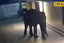 Jalpaiguri News: মাঝরাতে রিসোর্টের দরজায় কড়া নাড়া গজরাজের! লাটাগুড়িতে হাড়হিম করা ঘটনা, ভাইরাল শিউরে ওঠা সিসিটিভি ফুটেজ