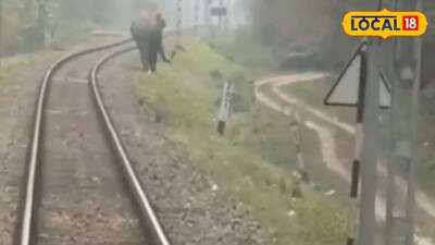 মহানন্দা এক্সপ্রেসের সামনে রেললাইনে হাতি