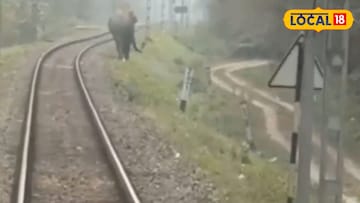 মহানন্দা