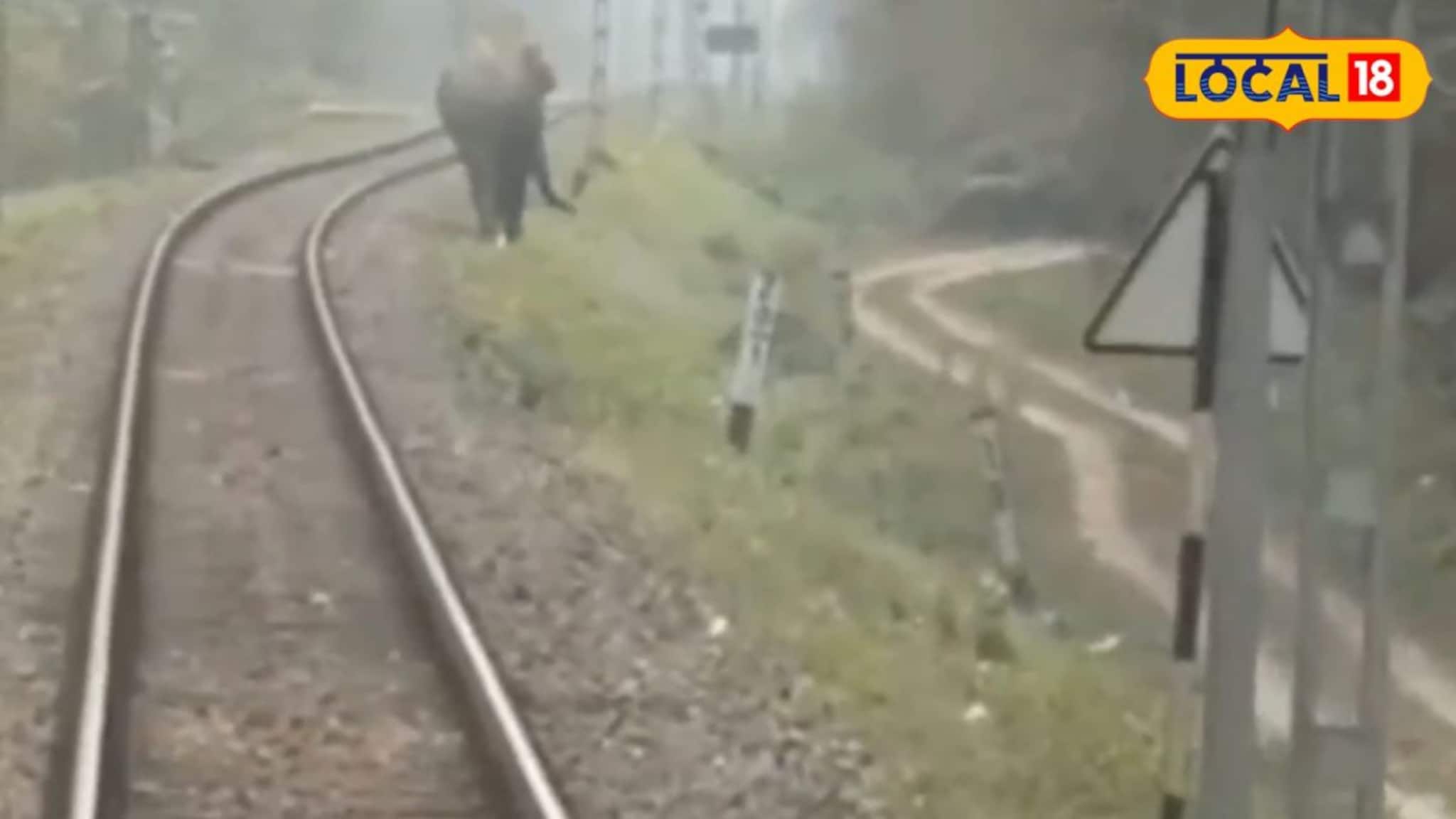 Indian Railways safety News: লোকোপাইলটের তৎপরতা! সেভক-গুলমার জঙ্গলে বড় বিপত্তির হাত থেকে রক্ষা পেল মহানন্দা এক্সপ্রেস, প্রাণ বাঁচল হাতিরও