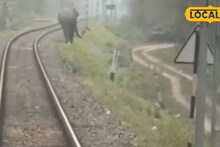 Indian Railways safety News: লোকোপাইলটের তৎপরতা! সেভক-গুলমার জঙ্গলে বড় বিপত্তির হাত থেকে রক্ষা পেল মহানন্দা এক্সপ্রেস, প্রাণ বাঁচল হাতিরও