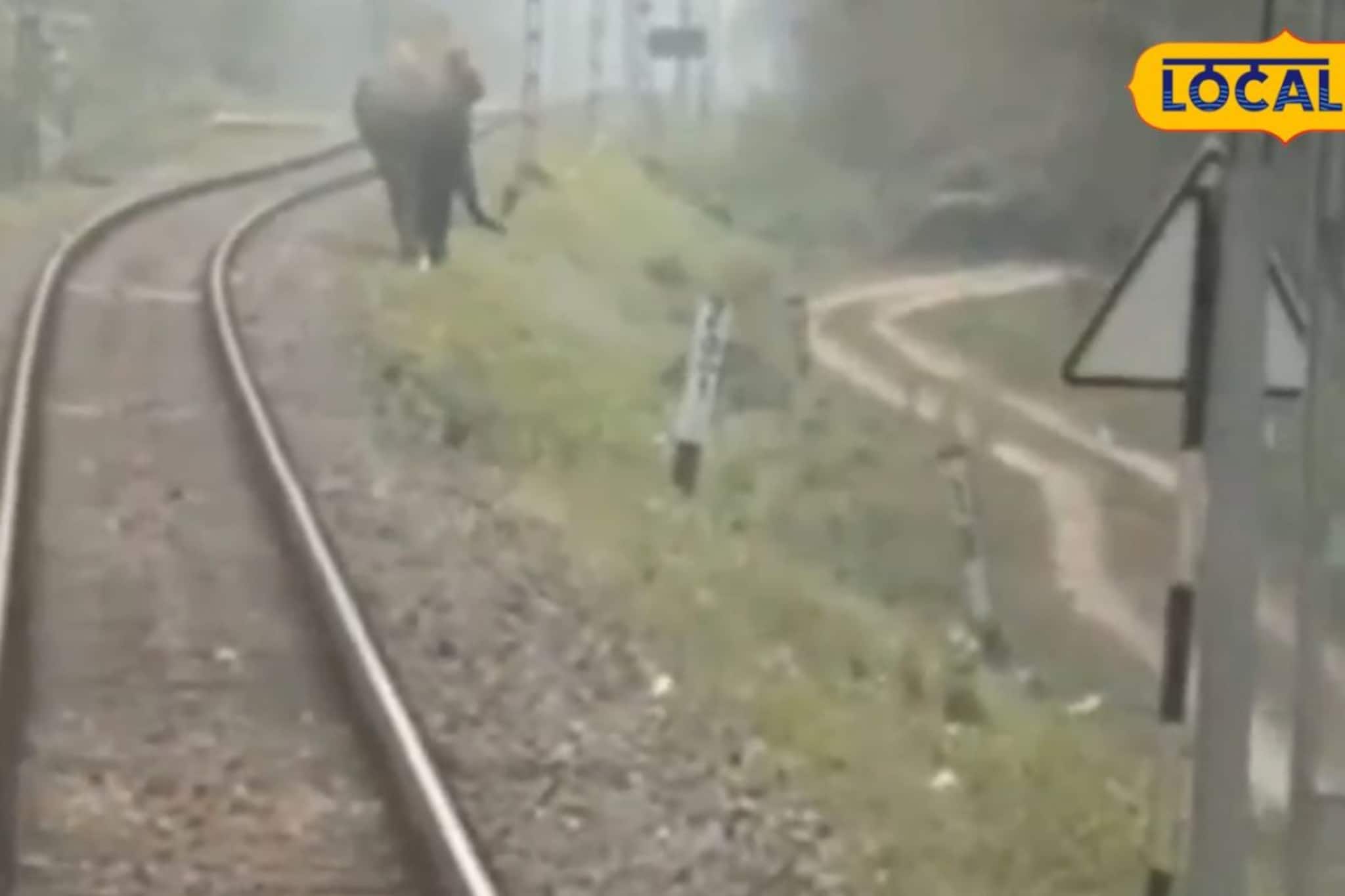 লোকোপাইলটের তৎপরতা! সেভক-গুলমার জঙ্গলে বড় বিপত্তির হাত থেকে রক্ষা পেল মহানন্দা এক্সপ্রেস লোকোপাইলটের তৎপরতা! সেভক-গুলমার জঙ্গলে বড় বিপত্তির হাত থেকে রক্ষা পেল মহানন্দা এক্সপ্রেস