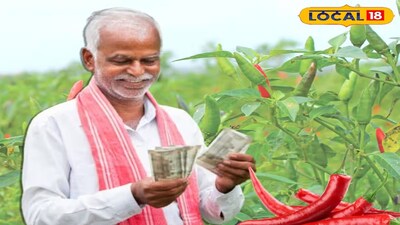 সমুদ্র উপকূলের বালু মাটিতে সোনার ফসল!