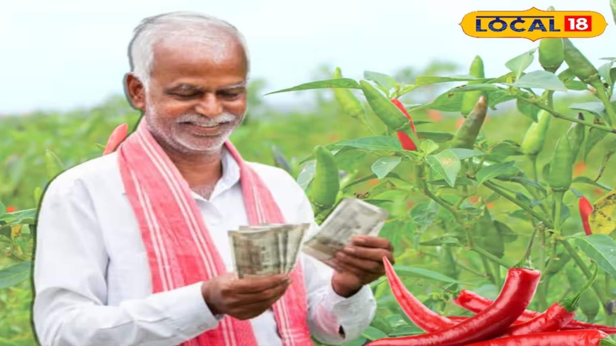 সমুদ্র উপকূলের বালু মাটিতে সোনার ফসল! লাখ লাখ টাকা কামাচ্ছেন এই এলাকার কৃষকরা