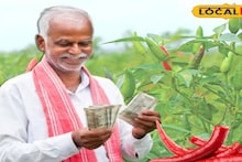 Money Making Ideas: সমুদ্র উপকূলের বালু মাটিতে সোনার ফসল! লাখ লাখ টাকা কামাচ্ছেন এই এলাকার কৃষকরা