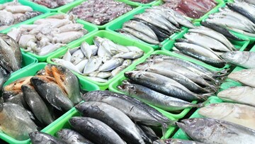 বাজারে বিকোচ্ছে 'ফর্মালিন' মেশানো মাছ, ফুটো করছে লিভার-পাকস্থলী-কিডনি, আপনিও ঠকছেন না তো?