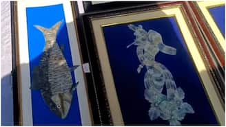 মাছের ফেলে দেওয়া আঁশ দিয়ে তৈরি হচ্ছে ঘর সাজানোর উপকরণ! দেখলে অবাক হবেন