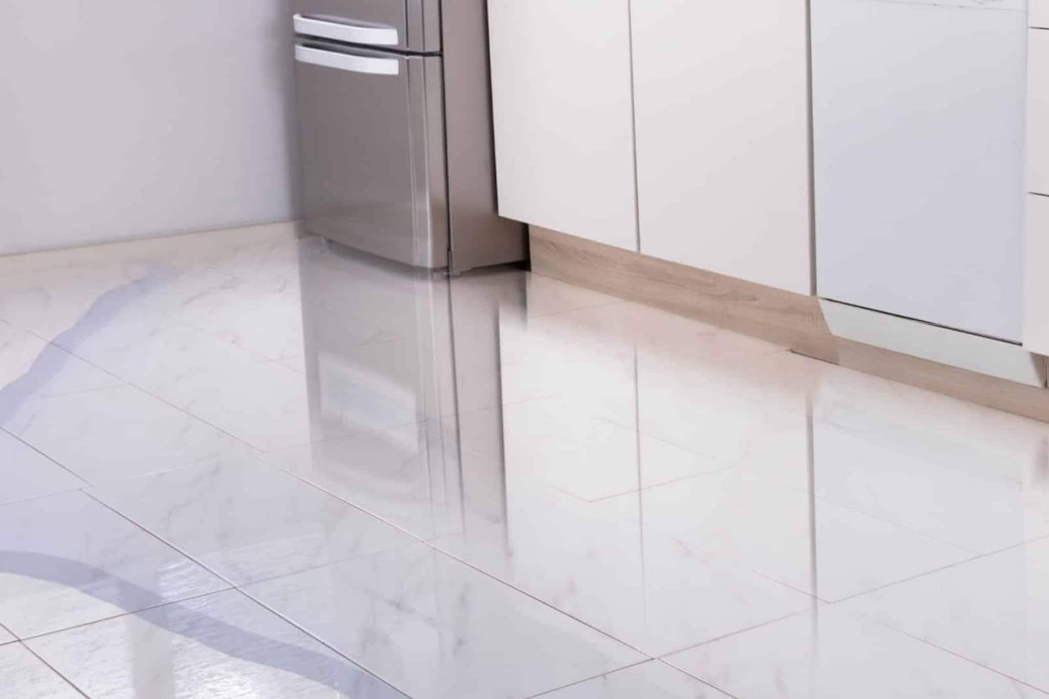 ফ্রিজ থেকে জল বেরিয়ে আসছে...? মেকানিক 'কল' দিতে হবে না, তুড়িতে সারিয়ে ফেলুন ছোট্ট 'টোটকায়' ফ্রিজ থেকে জল বেরিয়ে আসছে...? মেকানিক 'কল' দিতে হবে না, তুড়িতে সারিয়ে ফেলুন ছোট্ট 'টোটকায়'