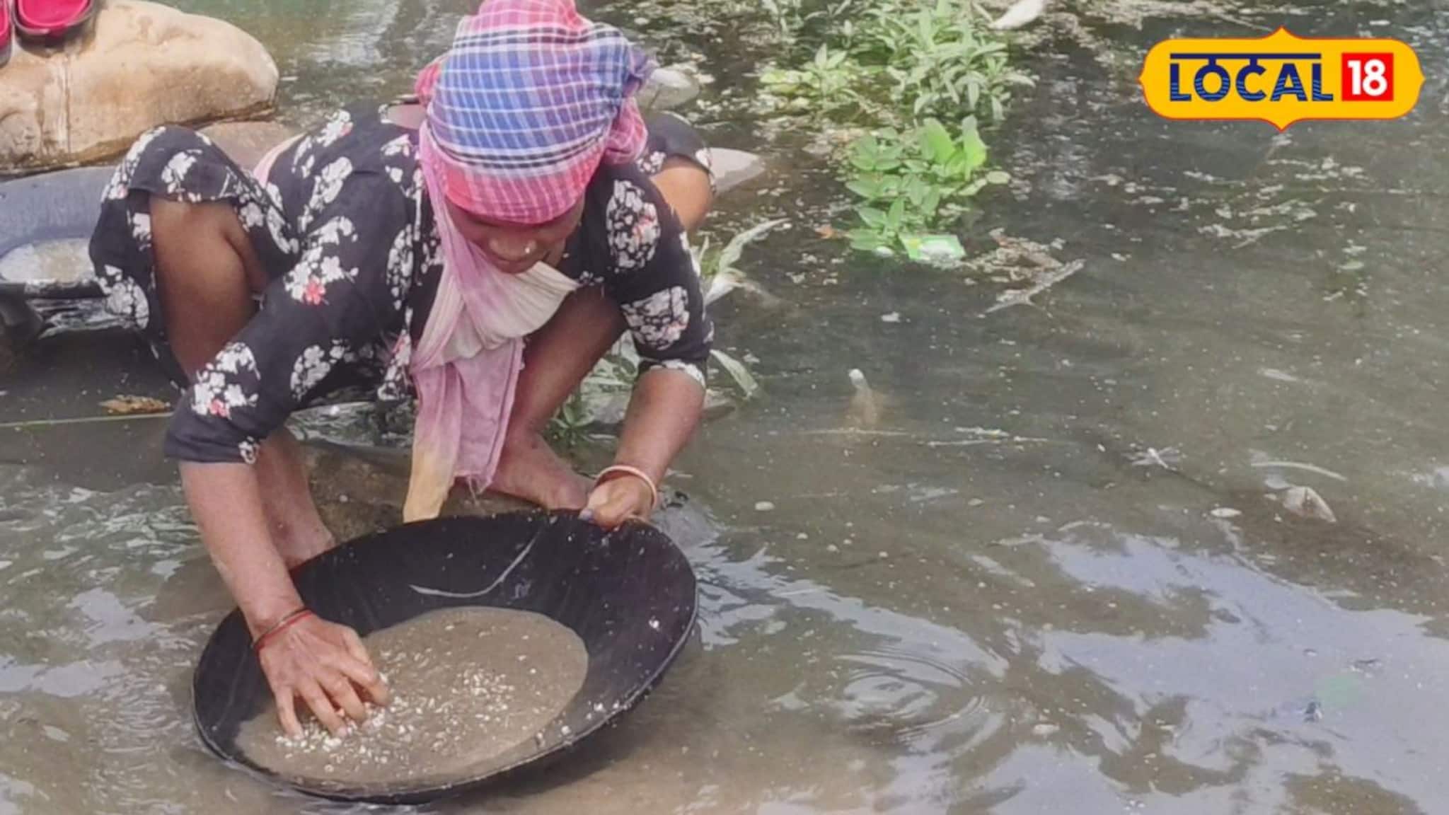 Jalpaiguri News: করলা নদীতে সোনা? মহারাষ্ট্র টু জলপাইগুড়ি, হাতড়ে যা বের করেন ওঁরা, দিনশেষে পকেট ভর্তি টাকা