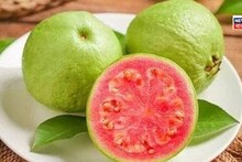 'পিঙ্ক' পেয়ারা দেখেছেন? সবুজ নাকি গোলাপি, কোন পেয়ারা খাওয়া উচিত অনেকেই জানেন না কিন্তু