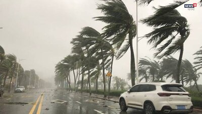 কলকাতা সহ রাজ্যের সব জেলাতেই বজ্রবিদ্যুৎ সহ বৃষ্টির সতর্কতা। আগামী ২৪ ঘন্টায় বজ্রবিদ্যুৎ সহ হালকা থেকে মাঝারি বৃষ্টি হতে পারে। বৃষ্টির সঙ্গে দমকাঝোড়ো বাতাস বইতে পারে ৩০ থেকে ৫০ কিলোমিটার গতিবেগে। দু এক জায়গায় কালবৈশাখীর মতো পরিস্থিতি হতে পারে। হতে পারে বজ্রপাত। বুধবার পর্যন্ত বিক্ষিপ্তভাবে বৃষ্টির সম্ভাবনা দক্ষিণবঙ্গে। উত্তরবঙ্গে বৃষ্টি চলবে সপ্তাহভর।
