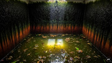 বাড়ির ছাদে জলের ট্যাঙ্ক নোংরা হয়ে গিয়েছে? সহজ কয়েকটি ধাপে ১০ মিনিটে নিজেই সাফ করুন!