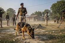 কালীগঞ্জে ভোটের আগে বোমার খোঁজে পুলিশের তল্লাশি! ডগ স্কোয়াড নিয়ে একাধিক এলাকায় অভিযান