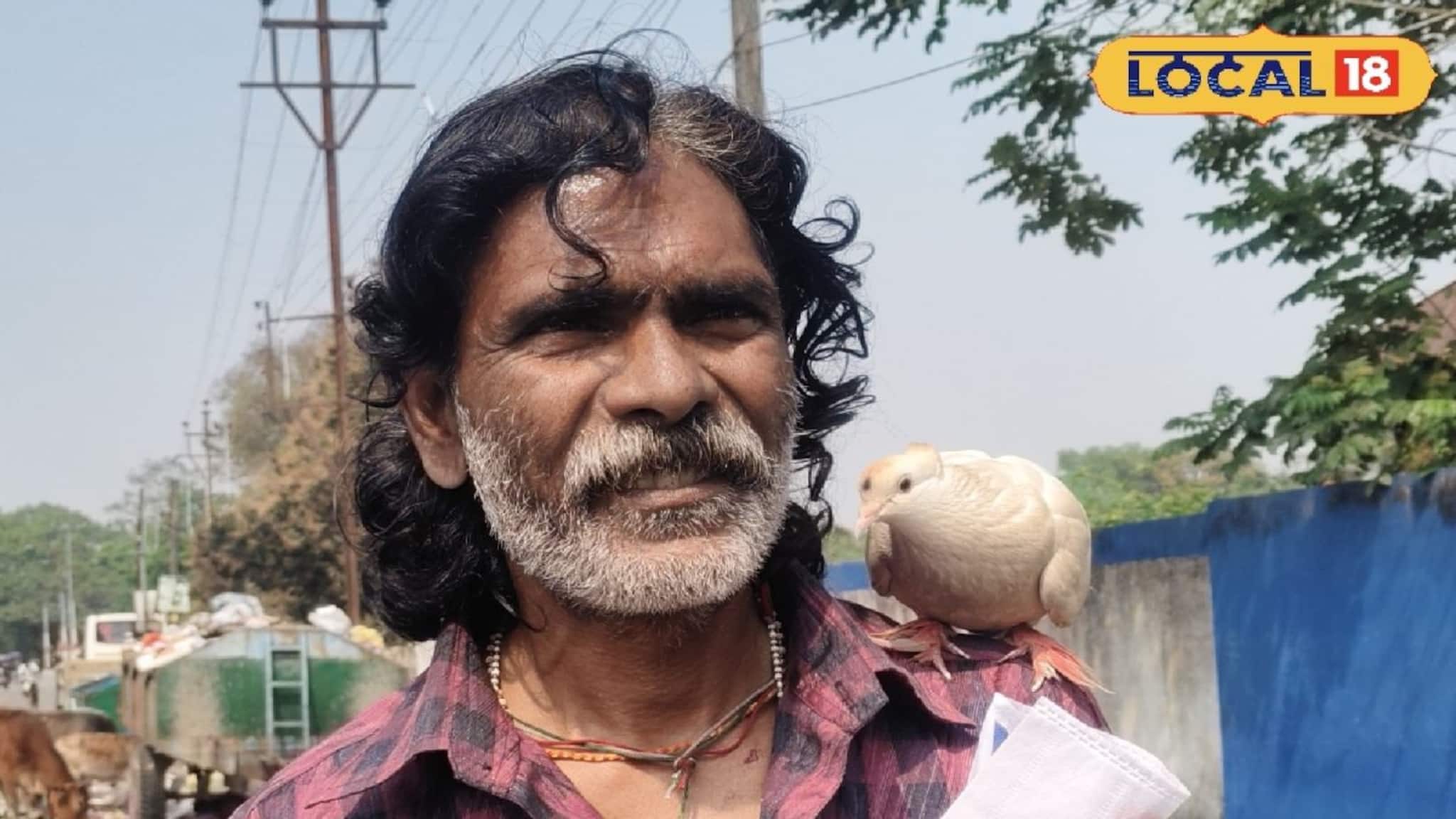 Human-Pigeon Friendship: সাইকেল চালানো থেকে বাজার করা, চার বছর ধরে ছায়াসঙ্গী পায়রা! ঘাড়ে চেপে হয়েছে কেদারনাথ ভ্রমণ, বন্ধুত্ব দেখে তাজ্জব গোটা শহর