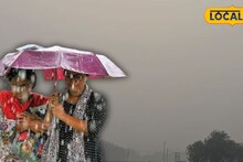 IMD Jhargram Weather Update: ভরা বসন্তে ঝেঁপে আসছে বৃষ্টি! ঝড়-জলে ভিজবে রাজ্যের একাধিক জেলা, ঝাড়গ্রাম নিয়েও মেগা আপডেট দিল হাওয়া অফিস