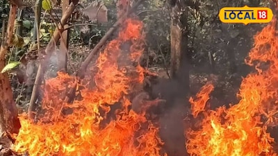 ঝাড়গ্রামের জঙ্গলে আগুন