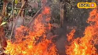 ঝাড়গ্রামের জঙ্গলে আগুন ঝাড়গ্রামের জঙ্গলে আগুন