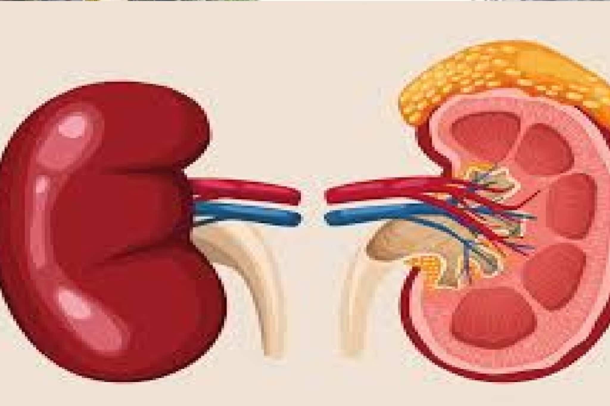 কিডনির সমস্যা ফুটে ওঠে পায়ে! এই ৫ লক্ষণ সম্পর্কে এখনই 'সজাগ' হন, আপনার শরীরেও দেখা দিচ্ছে কি? কিডনির সমস্যা ফুটে ওঠে পায়ে! এই ৫ লক্ষণ সম্পর্কে এখনই 'সজাগ' হন, আপনার শরীরেও দেখা দিচ্ছে কি?