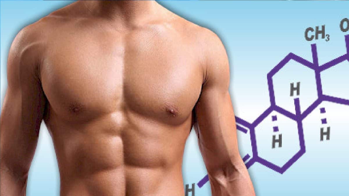 Testosterone: টেস্টোস্টেরনের পরিমাণ কমছে? শরীরের নানা লক্ষণে কী ভাবে বুঝবেন পুরুষেরা, এই হরমোনের অভাবে কী হয় জানুন! Testosterone: টেস্টোস্টেরনের পরিমাণ কমছে? শরীরের নানা লক্ষণে কী ভাবে বুঝবেন পুরুষেরা, এই হরমোনের অভাবে কী হয় জানুন!