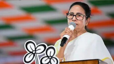 কী বললেন তৃণমূল নেত্রী?