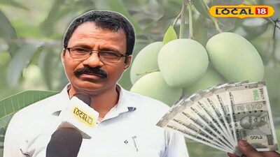 ৮৫ ধরনের আমের চাষ!