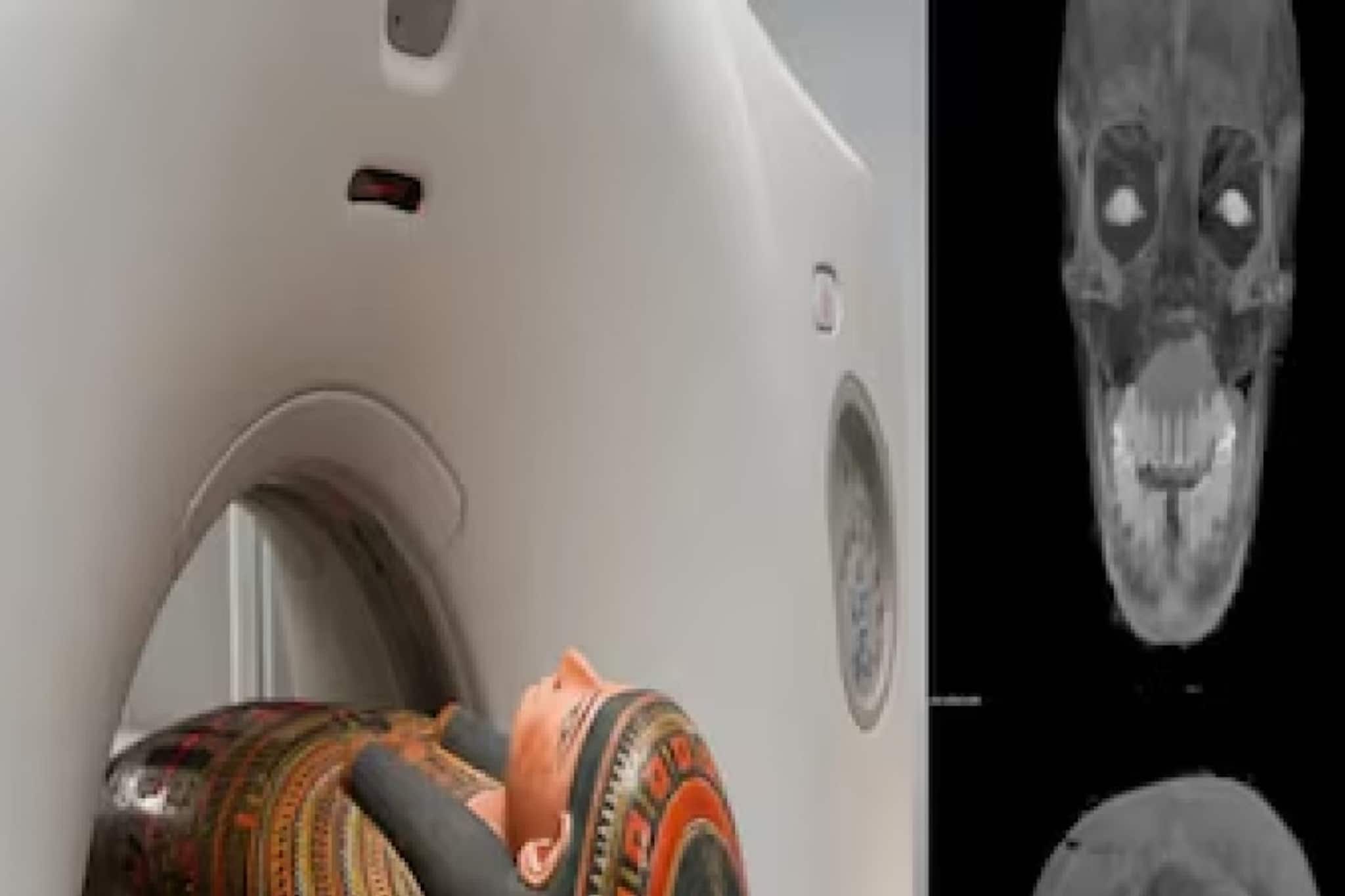 ২ হাজার বছরের পুরনো মমির সিটি স্ক্যান! ধরা পড়ল কোন ভয়ঙ্কর তথ্য? জানলে আপনিও সাবধান হবেন! ২ হাজার বছরের পুরনো মমির সিটি স্ক্যান! ধরা পড়ল কোন ভয়ঙ্কর তথ্য? জানলে আপনিও সাবধান হবেন!