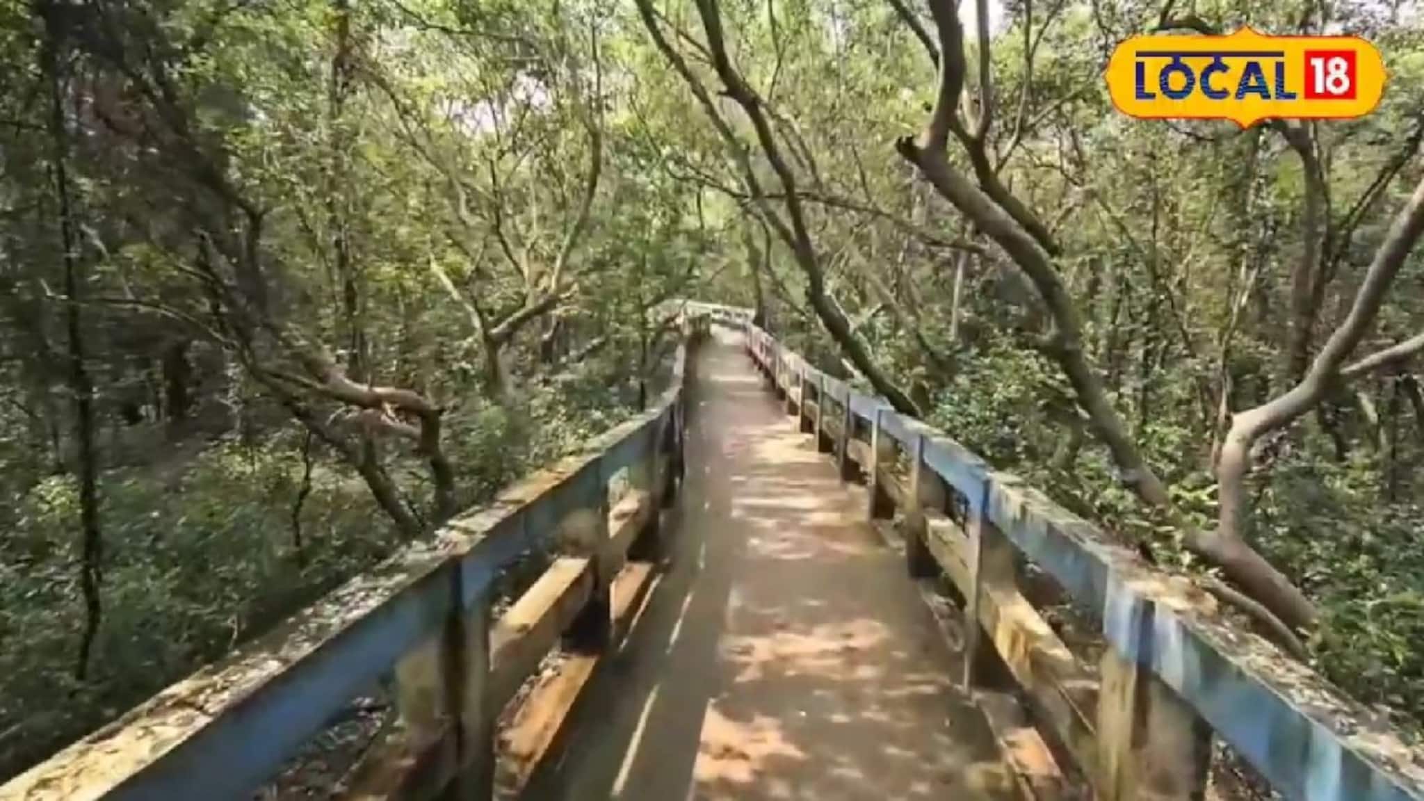 মিনি সুন্দরবনের খোলনচে বদলে দেওয়া দাবি, টাকিতে অপেক্ষা সবুজ সংকেতের