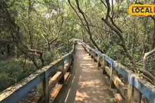 North 24 Parganas News: টাকির মিনি সুন্দরবনে আসতে পারে বড়সড চমক, দাবি পূরণ হলে বদলে যাবে পুরো ছবি! সবুজ সংকেতের অপেক্ষায় সবাই