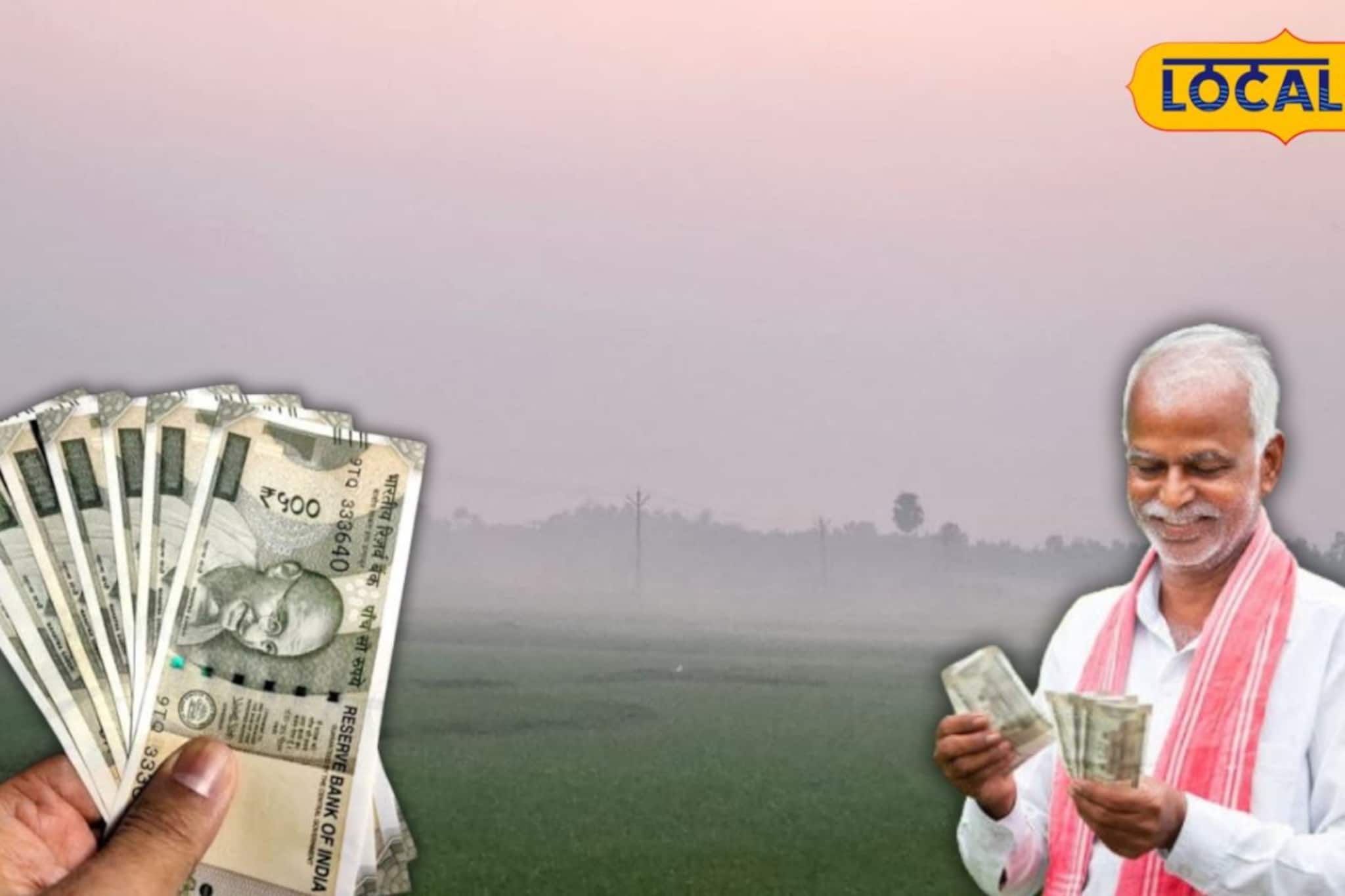 ১-২ কাঠা জমি থাকলেই 'রাজা'! হাওড়ার ঘরে ঘরে নতুন ব্যবসা, কৌশল জানলেই রোজগার হবে মোটা টাকা