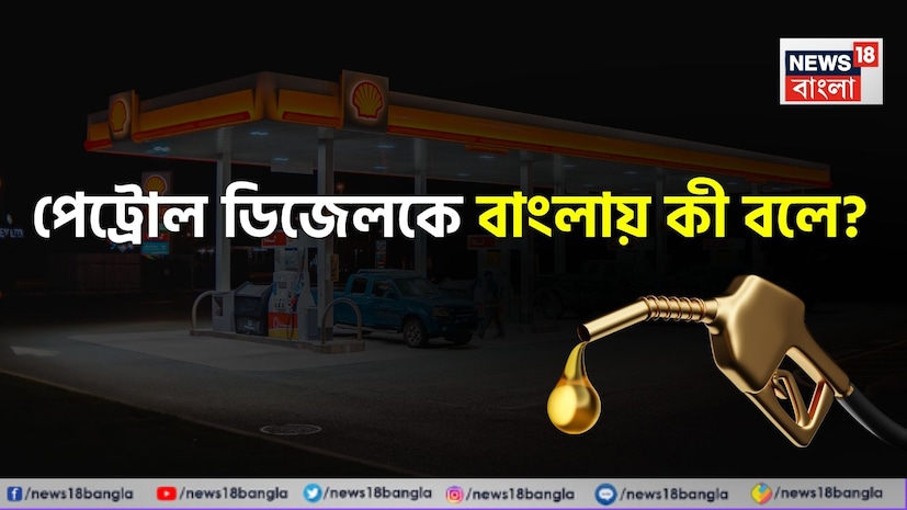 জেনারেল নলেজ বা সাধারণ জ্ঞান একটি অত্যন্ত প্রয়োজনীয় জ্ঞান যা জীবনের নানা পর্যায়ে আমাদের সমৃদ্ধ করে। একদিকে যেমন ঘরোয়া আলোচনায় নানা জ্ঞান বিজ্ঞানের থেকে শুরু করে দৈনন্দিন জীবনের জানা অজানা বিষয় আমাদের অবাক করে তেমনই আবার এই সাধারণ জ্ঞানমূলক প্রশ্ন ও উত্তর অনেক সময় প্রতিযোগিতামূলক পরীক্ষা বা চাকরির ইন্টারভিউতে দারুণ সাহায্য করে পরীক্ষার্থীদের। জেনারেল নলেজ বা সাধারণ জ্ঞান একটি অত্যন্ত প্রয়োজনীয় জ্ঞান যা জীবনের নানা পর্যায়ে আমাদের সমৃদ্ধ করে। একদিকে যেমন ঘরোয়া আলোচনায় নানা জ্ঞান বিজ্ঞানের থেকে শুরু করে দৈনন্দিন জীবনের জানা অজানা বিষয় আমাদের অবাক করে তেমনই আবার এই সাধারণ জ্ঞানমূলক প্রশ্ন ও উত্তর অনেক সময় প্রতিযোগিতামূলক পরীক্ষা বা চাকরির ইন্টারভিউতে দারুণ সাহায্য করে পরীক্ষার্থীদের।