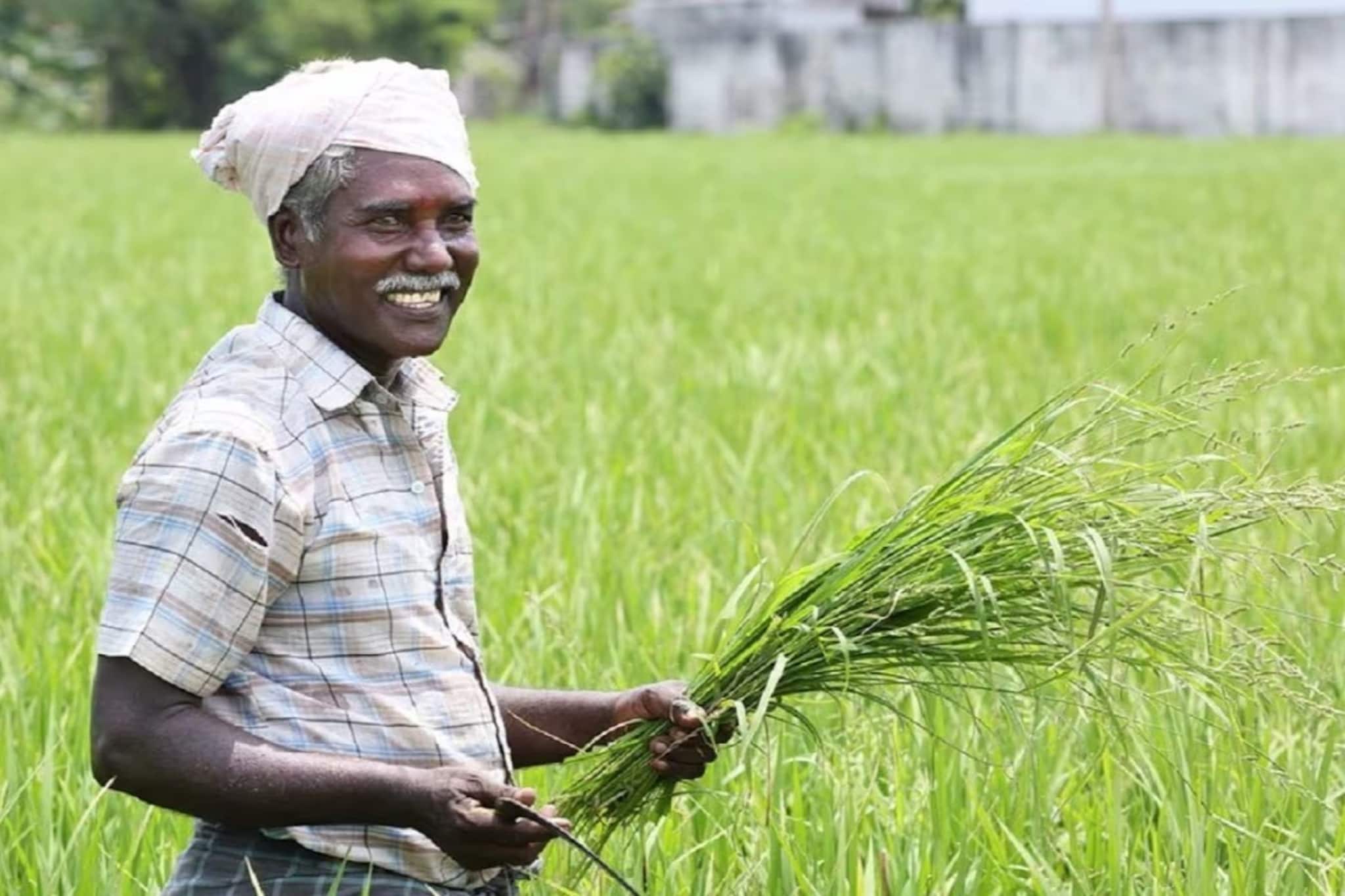 কৃষকরা কোনও কাগজপত্র ছাড়াই ১৫ মিনিটের মধ্যে পেয়ে যাবেন এই সুবিধা ! কী জেনে নিন কৃষকরা কোনও কাগজপত্র ছাড়াই ১৫ মিনিটের মধ্যে পেয়ে যাবেন এই সুবিধা ! কী জেনে নিন