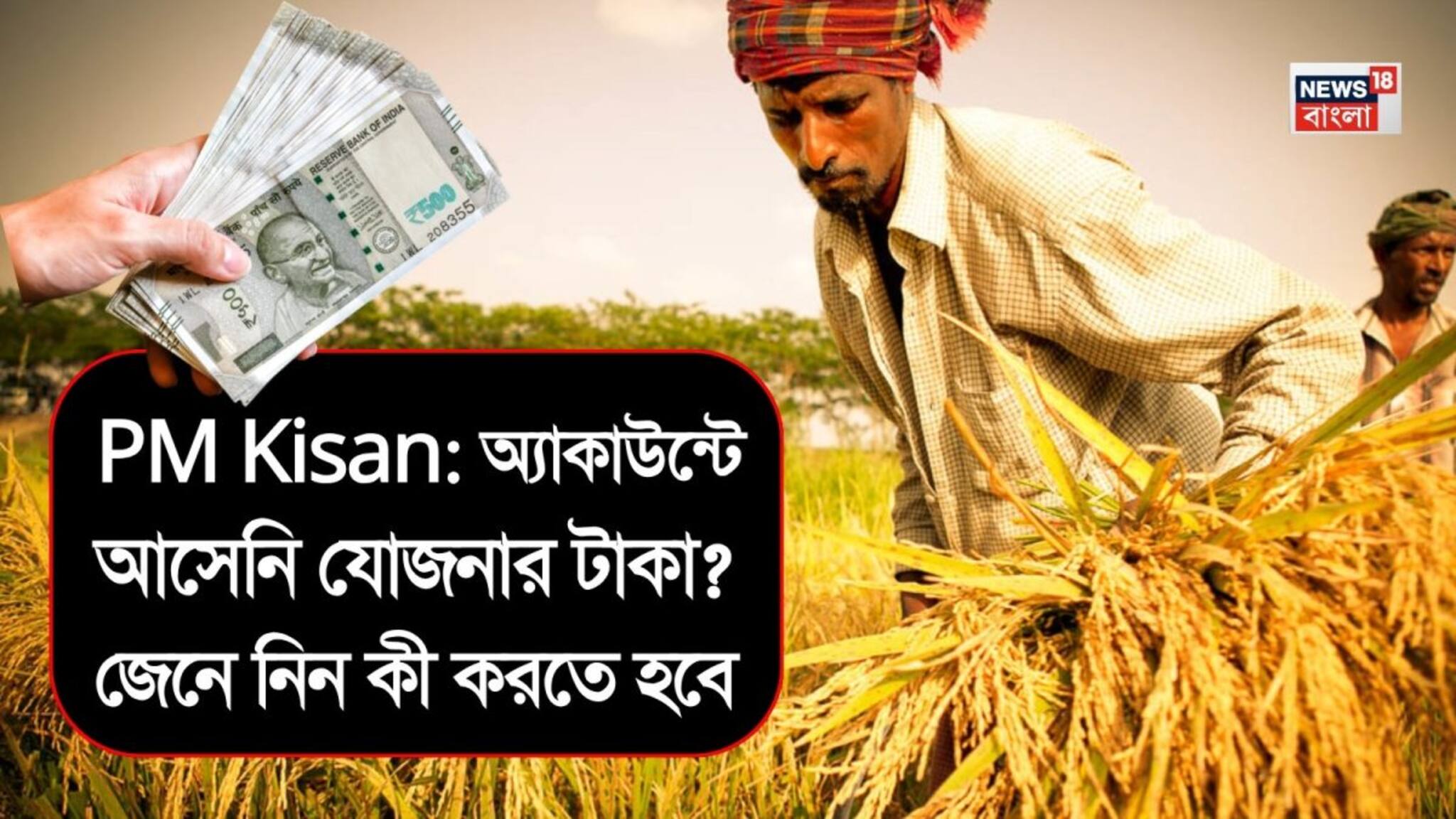 PM Kisan: অ্যাকাউন্টে আসেনি যোজনার টাকা ? জেনে নিন কী করতে হবে