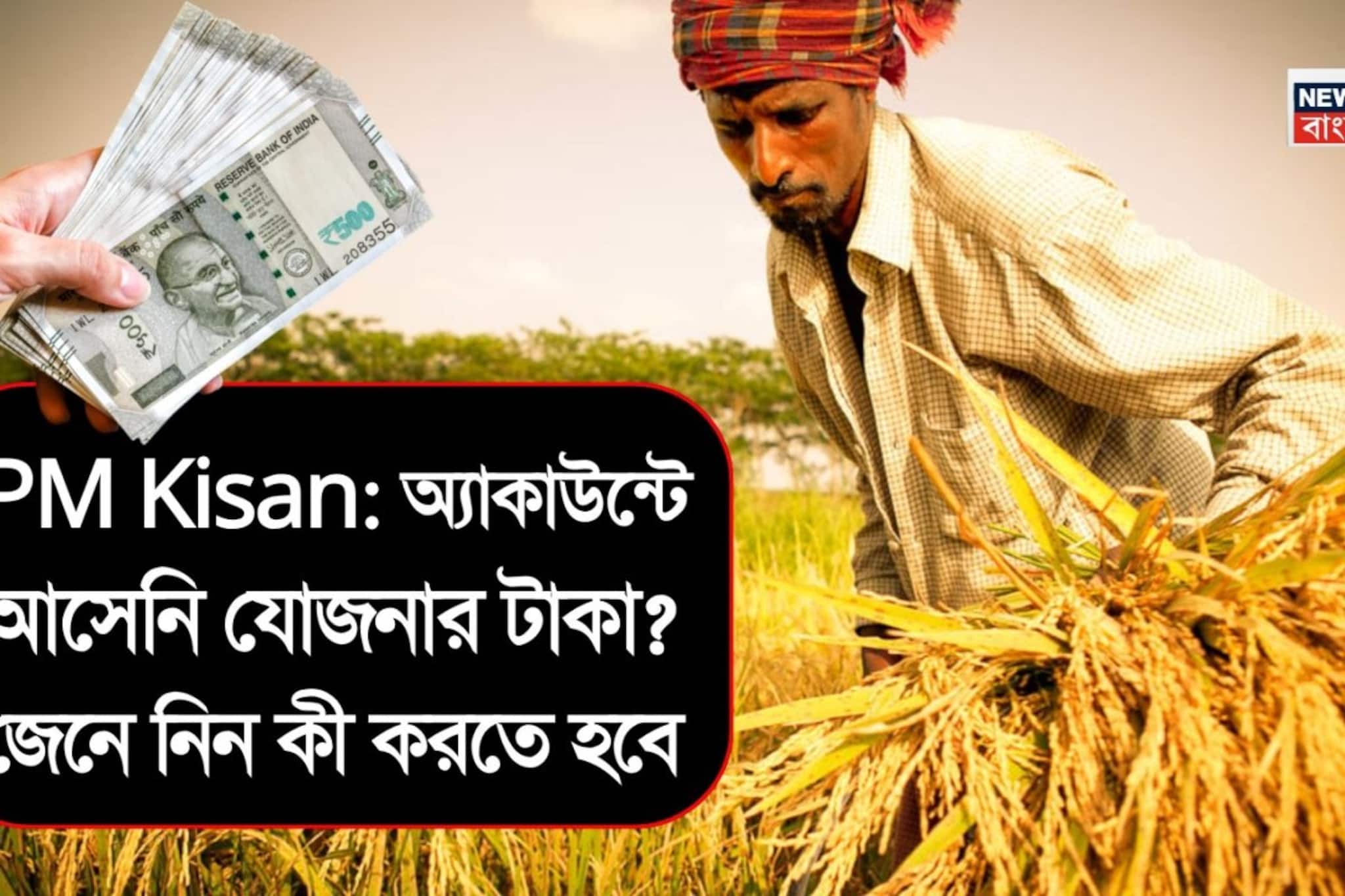 PM Kisan: অ্যাকাউন্টে আসেনি যোজনার টাকা ? জেনে নিন কী করতে হবে