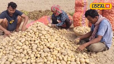 আলু চাষ নিয়ে বড় সিদ্ধান্ত বর্ধমানের চাষিদের