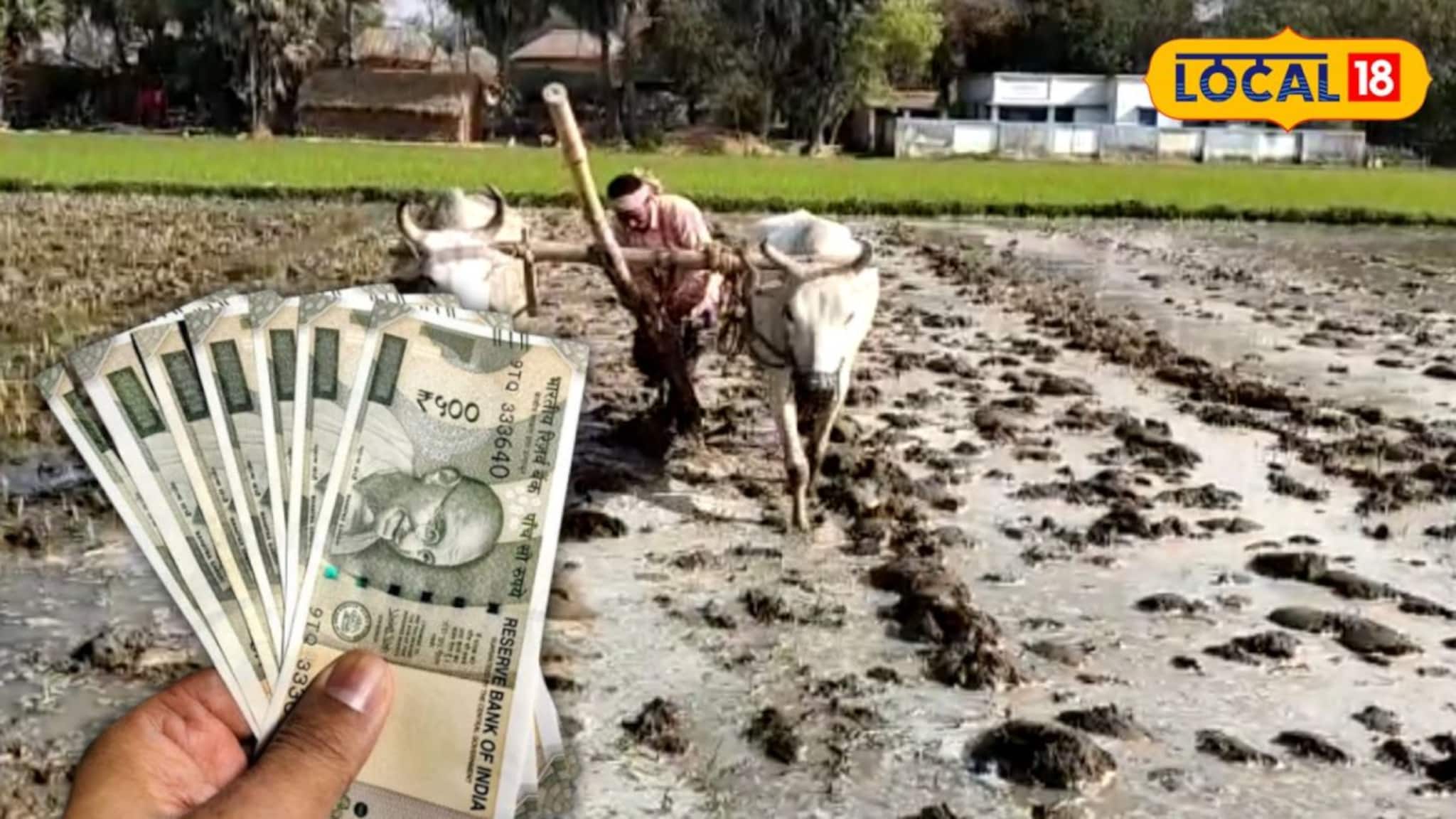 Agriculture News: নামমাত্র পরিশ্রমে অনুর্বর মাটিতেই ফলবে সোনা! মেদিনীপুরের চাষির এক অভিনব আইডিয়া বদলে দিল রোজগারের দিশা