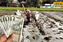 Agriculture News: নামমাত্র পরিশ্রমে অনুর্বর মাটিতেই ফলবে সোনা! মেদিনীপুরের চাষির এক অভিনব আইডিয়া বদলে দিল রোজগারের দিশা