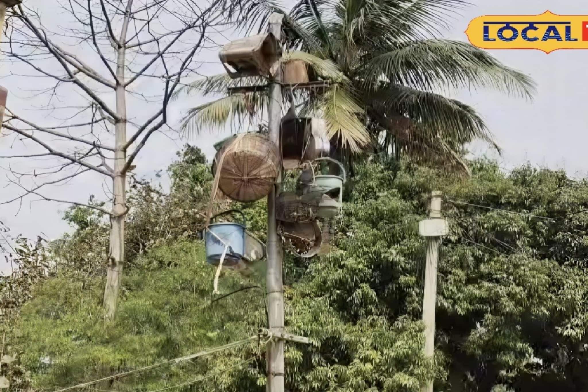 টেলিফোনের অকেজো খুঁটিই এখন পাখিদের স্বর্গরাজ্য, নেপথ্যে পুরুলিয়ার 'পক্ষীরাজন'