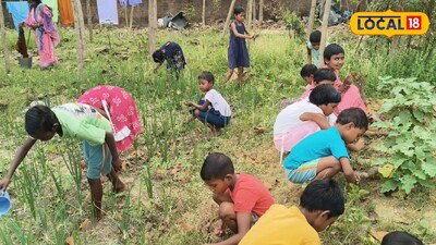 পড়াশোনার পাশাপাশি হাতেকলমে চাষবাসের পাঠ
