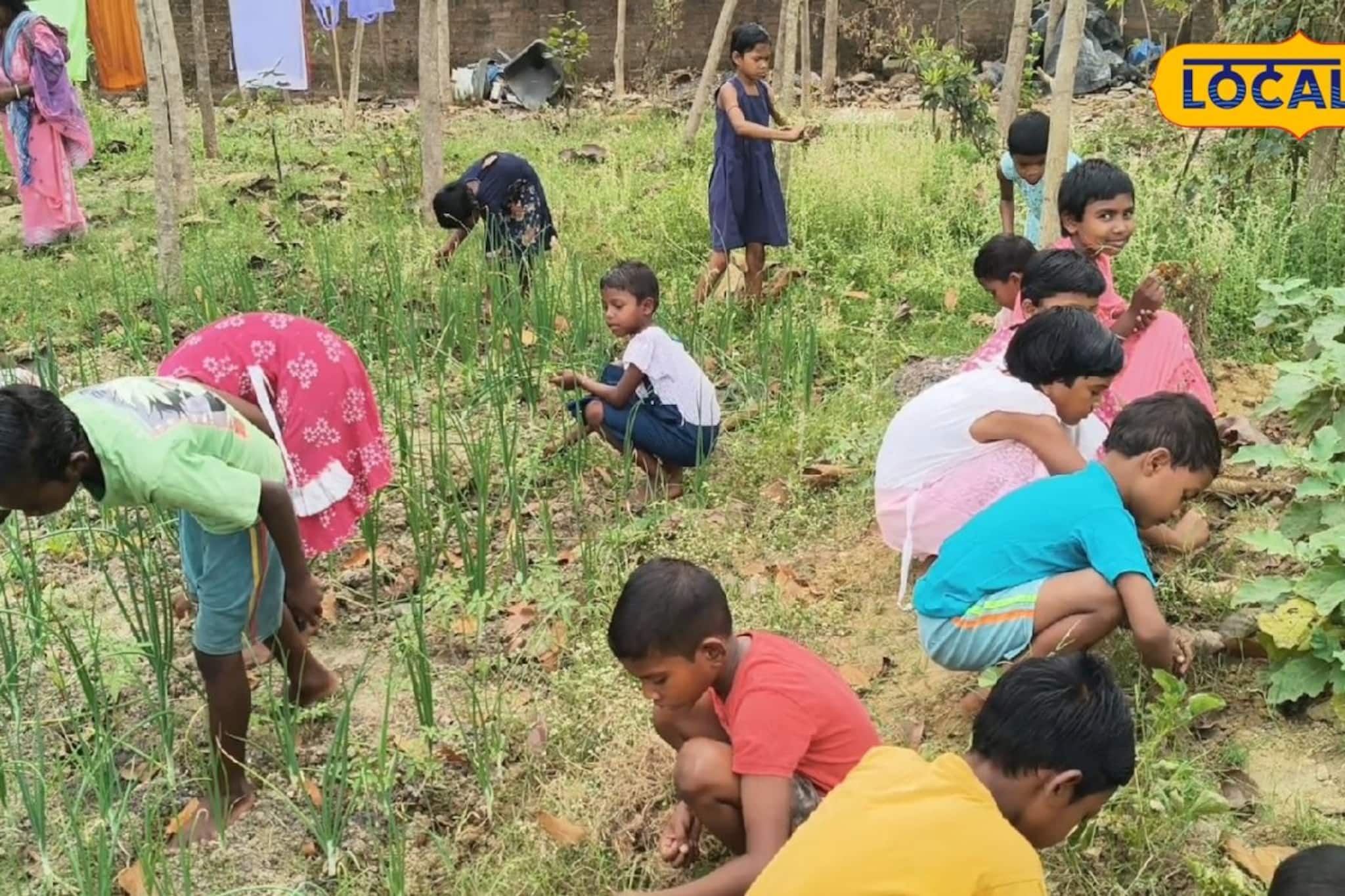 খুদে পড়ুয়াদের হাতে ফলছে টাটকা শাক-সবজি, অভিনব কায়দায় হাতেকলমে শিখছে চাষবাস