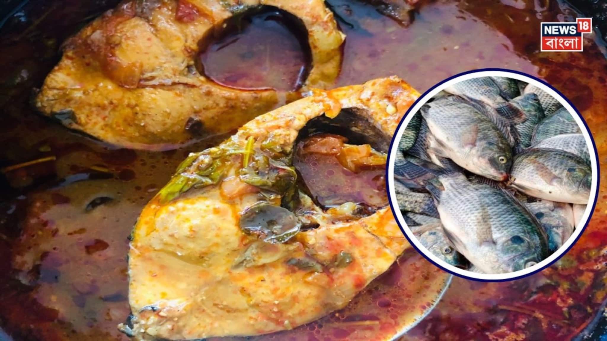 মহৌষধি এই দুই 'মাছ'...! ডায়াবেটিস থেকে হার্ট অ্যাটাকে অব্যর্থ, ওজন রাখে কন্ট্রোলে, লিভার রাখে ভাল, বাজার থেকে কিনে আনুন বেছে বেছে