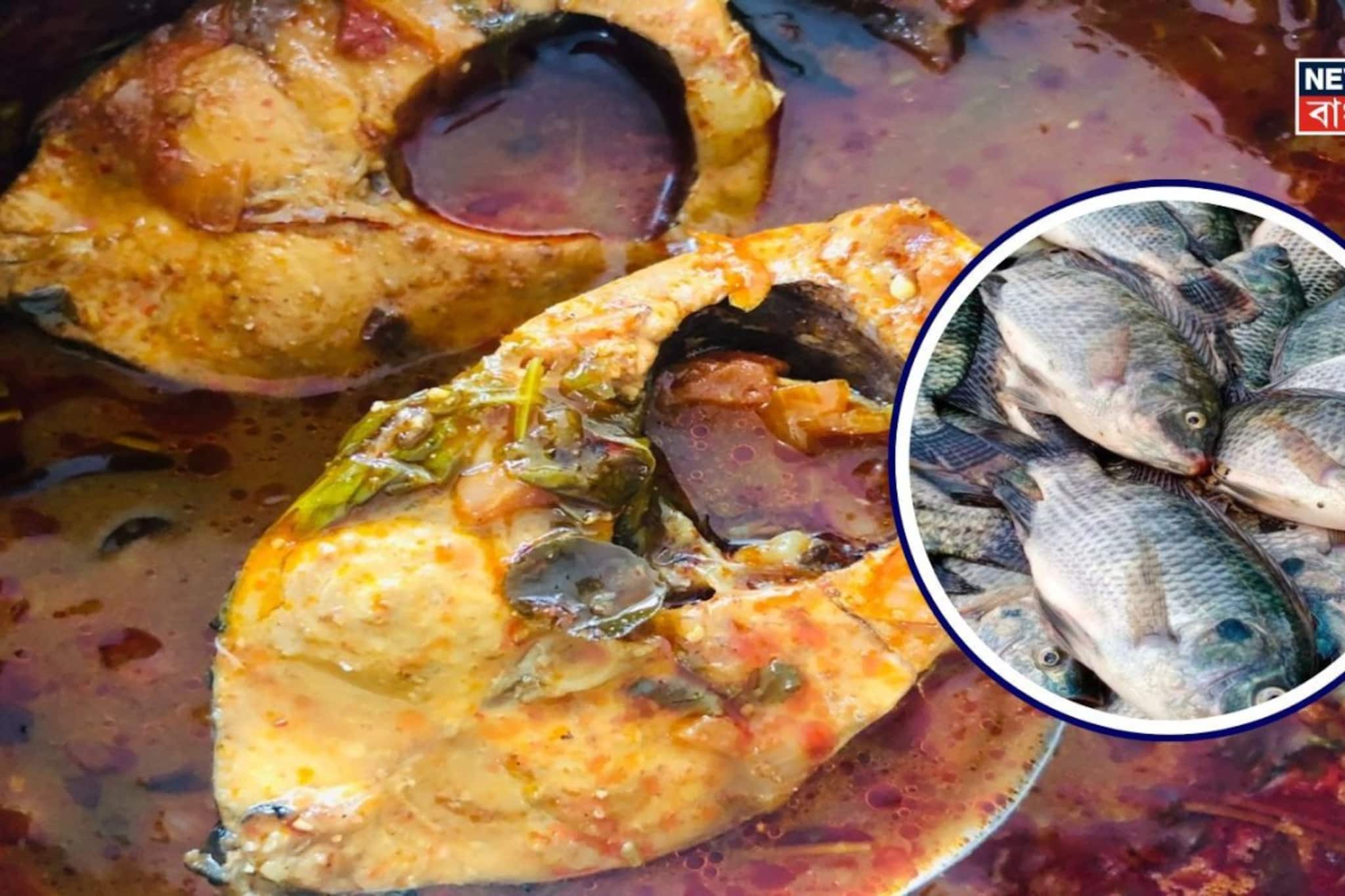 মহৌষধি এই দুই 'মাছ'...! ডায়াবেটিস থেকে হার্ট অ্যাটাকে অব্যর্থ, ওজন রাখে কন্ট্রোলে!